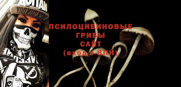 героин Алексин