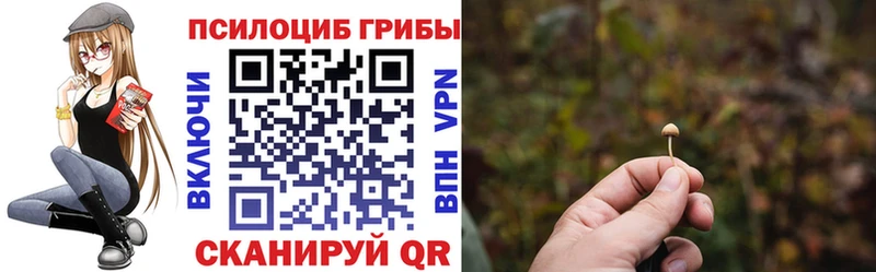 Псилоцибиновые грибы MAGIC MUSHROOMS  закладки  Ковров 